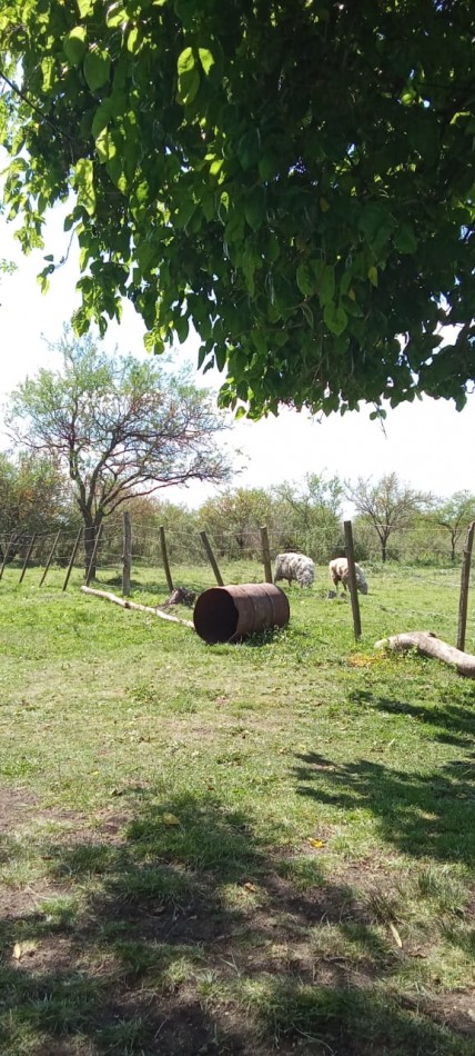 CHACRA EN VENTA O PERMUTA