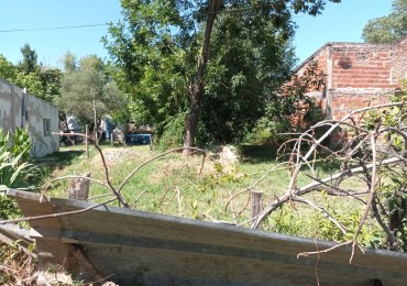 Lote en Asisclo Mendez al 1130